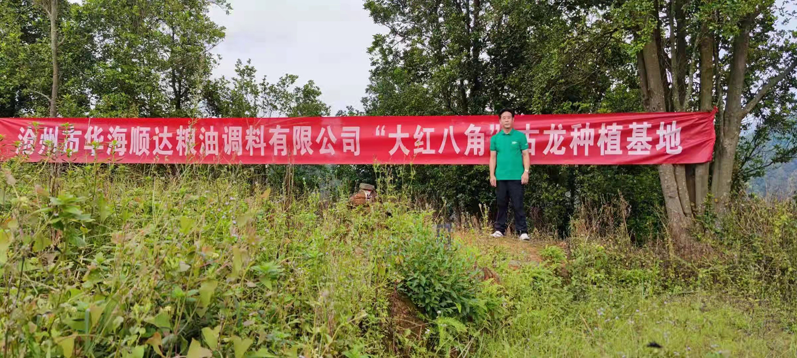 八角1.jpg